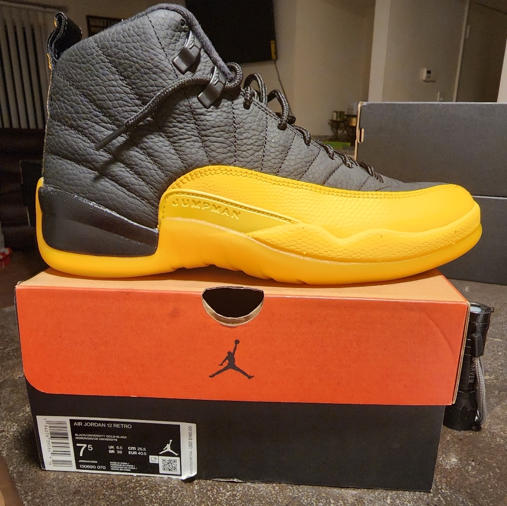Air Jordan retro 12